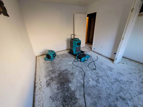 Best 24-hour water damage restoration  in Palmhurst, TX