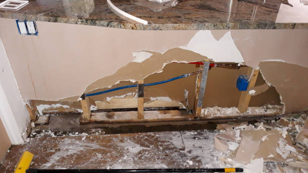 Best Sewage cleanup and water damage restoration  in Palmhurst, TX