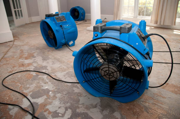Best Sewage cleanup and water damage restoration  in Palmhurst, TX