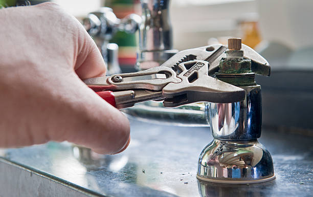 Best Mold removal after water damage  in Palmhurst, TX