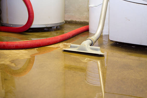 Best Water damage restoration process  in Palmhurst, TX