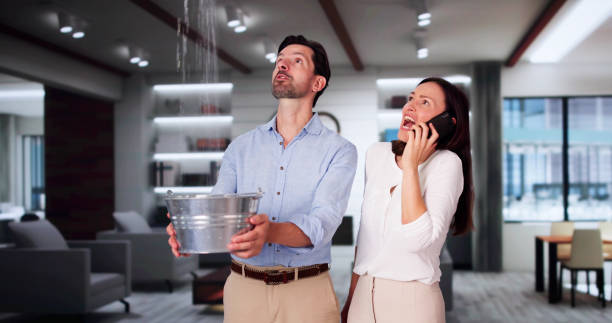 Best Flooded house restoration  in Palmhurst, TX