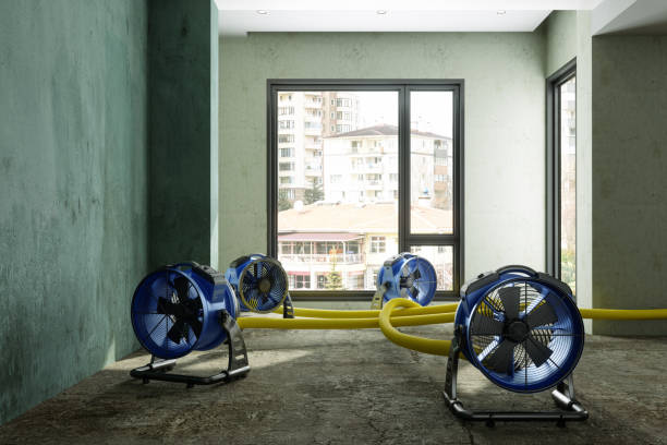 Best 24/7 water damage repair  in Palmhurst, TX