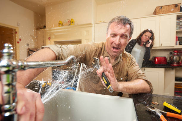 Best Carpet water damage restoration  in Palmhurst, TX